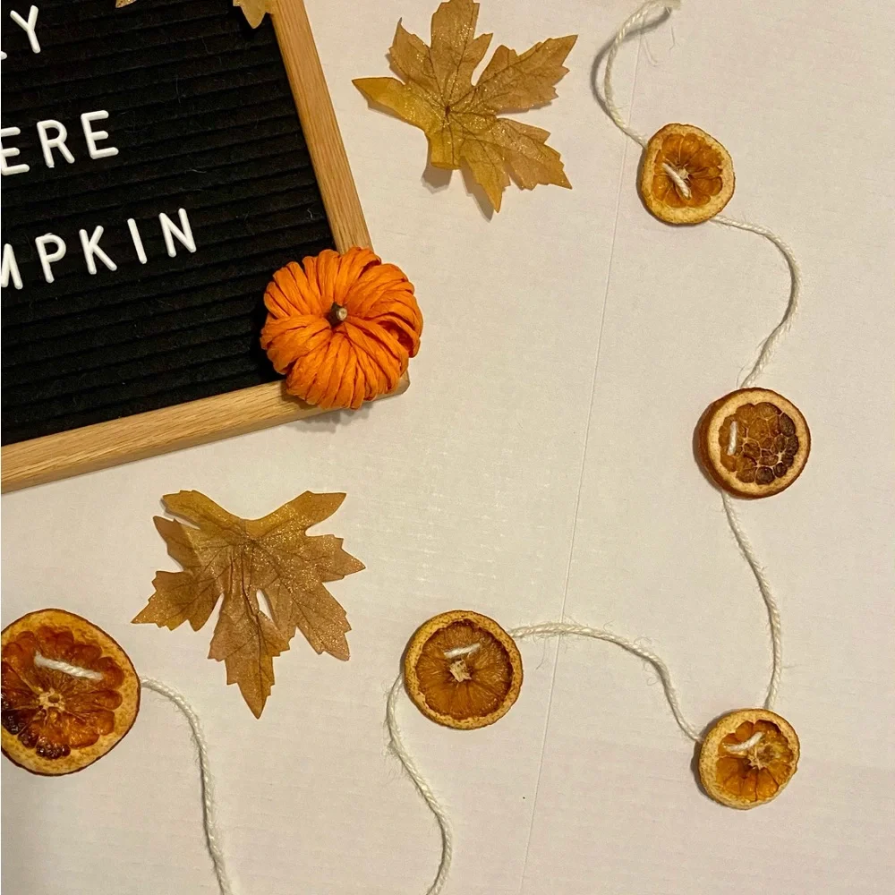 Dry Orange Garland, 30 feet